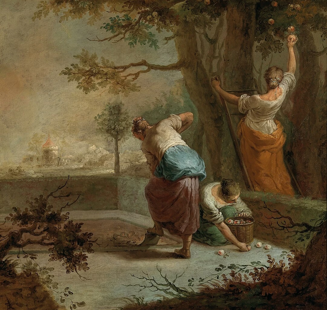Raccolta delle mele
